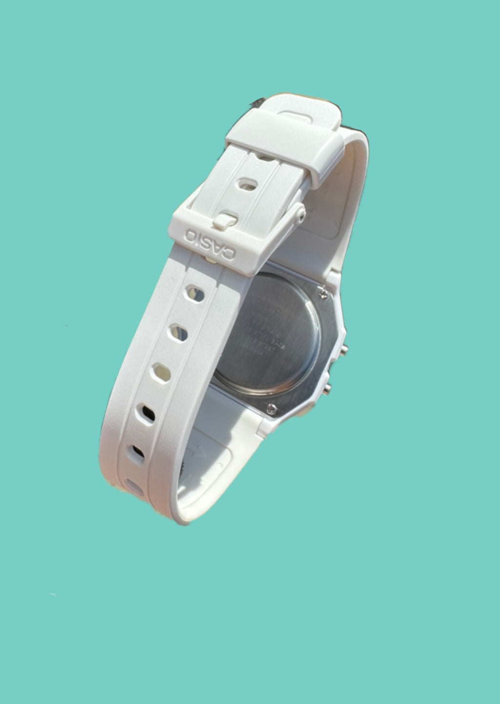 Iceberg